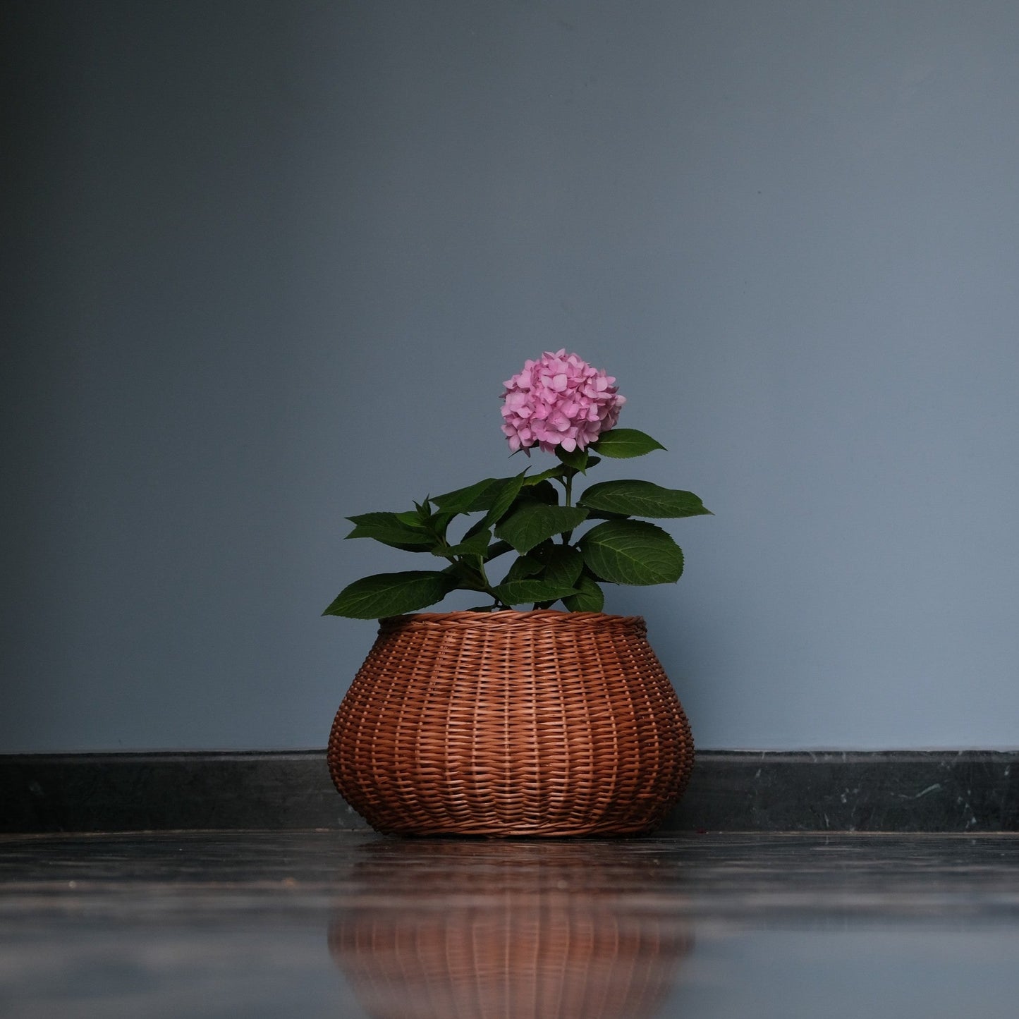 Plop Planter